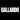 Gallardo